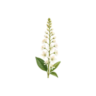 Raceme flower arrangement