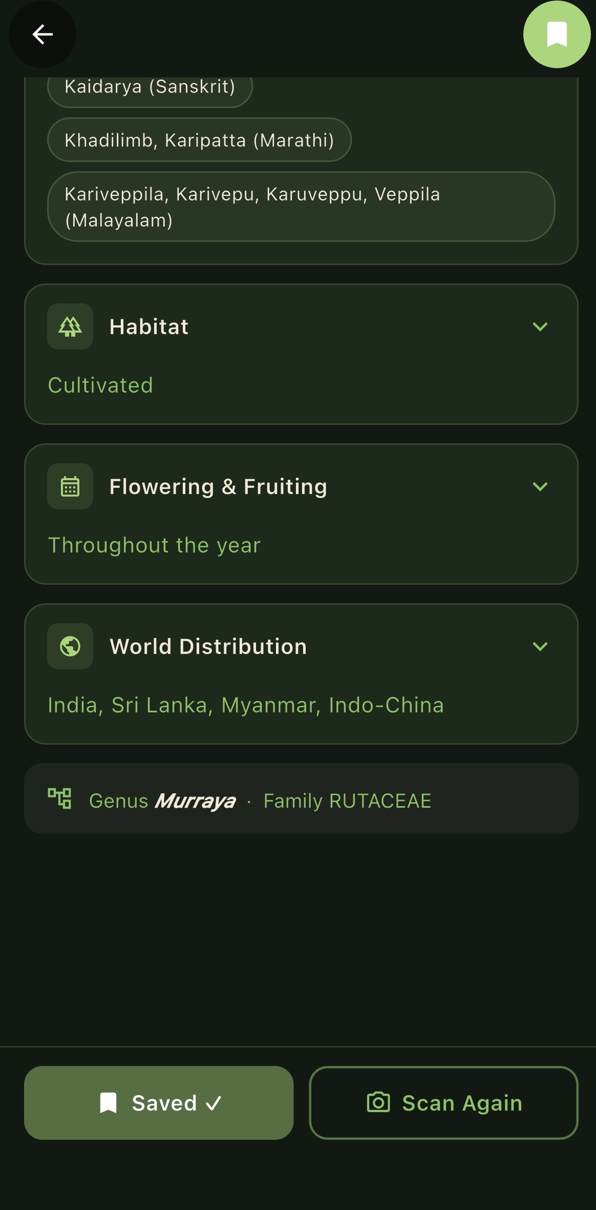Plant details