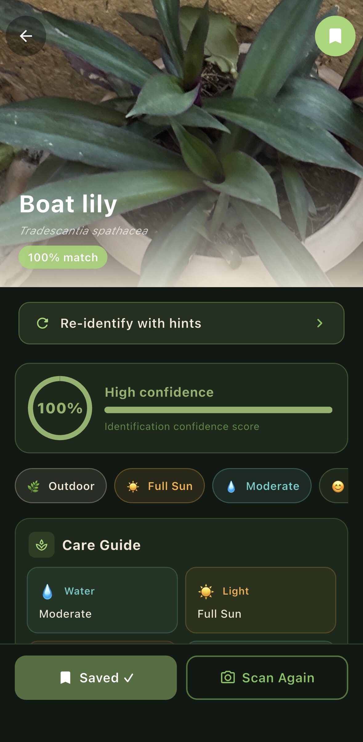 SASYA identifying Boat Lily with 100% match